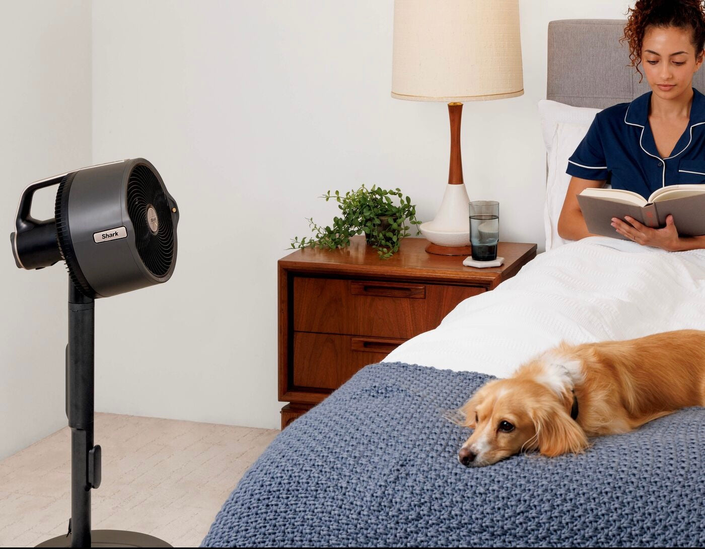 Ventilateur brumisateur portable d'intérieur et d'extérieur FlexBreeze