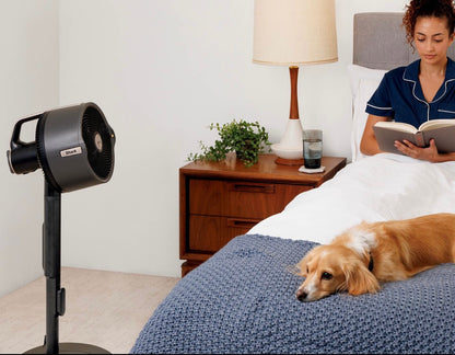 Ventilateur brumisateur portable d'intérieur et d'extérieur FlexBreeze