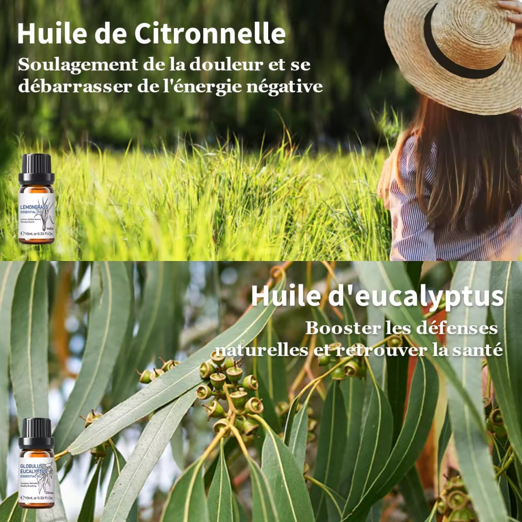 Ventilateur 3-en-1 | Rafraîchit, humidifie et parfume l’air